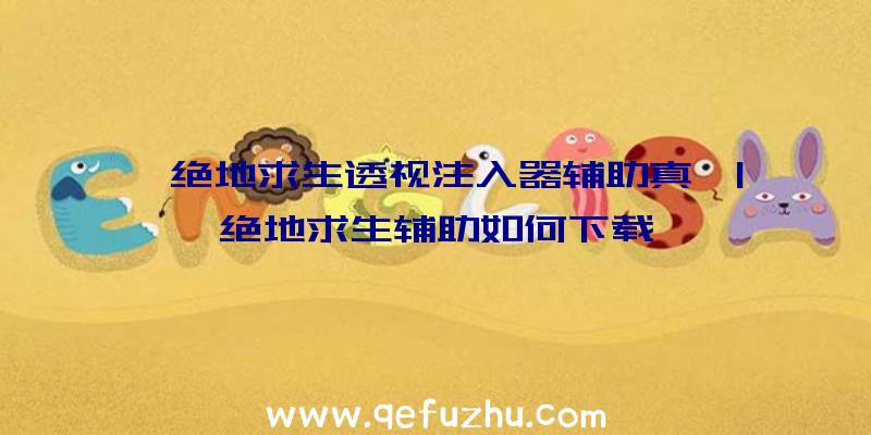 「绝地求生透视注入器辅助真」|绝地求生辅助如何下载
